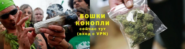 индика Остров